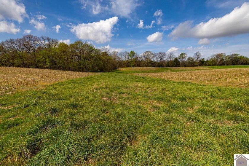 This tract offers a strong mix of hunting and tillable income - photo 10