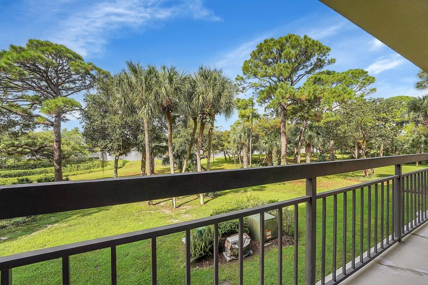 Discover unparalleled waterfront living at this stunning new - photo 29