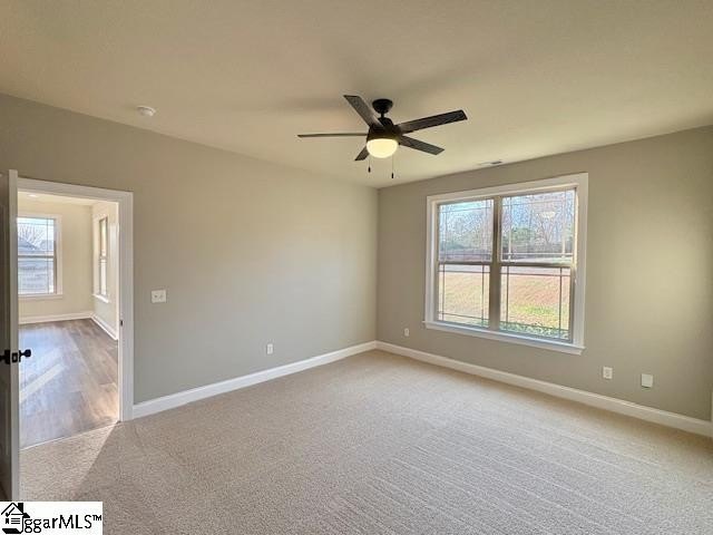 A Blue Ridge Beauty! Located just 2 miles from Lake Robinson - photo 14