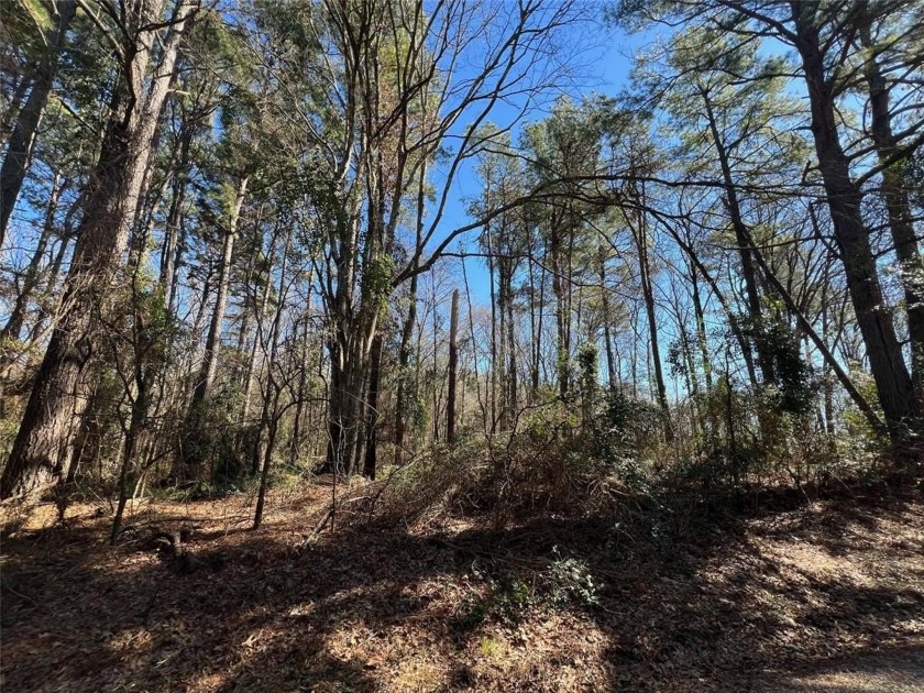 Approx 20 acres of beautiful acreage. This property is off the - photo 3