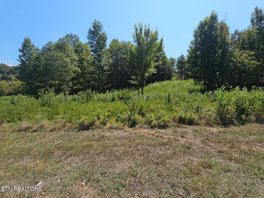 64 Acres>> very easy build lot>>> AND a transferrable lease of - photo 3