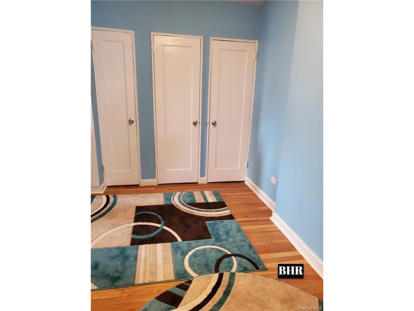 SHEEPSHAD BAY/ MARINE PARK Large 1 bedroom, 1 bath on top floor - photo 5