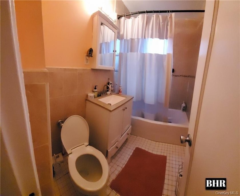 SHEEPSHAD BAY/ MARINE PARK Large 1 bedroom, 1 bath on top floor - photo 10