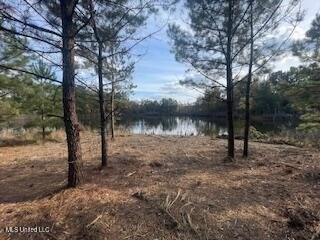 Looking for a great commercial opportunity in McComb, MS with - photo 2