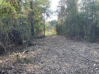 Looking for a great commercial opportunity in McComb, MS with - photo 4