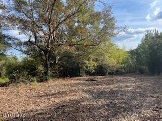 Looking for a great commercial opportunity in McComb, MS with - photo 5