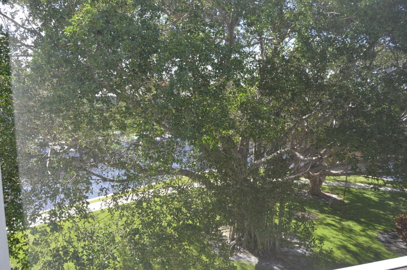 Introducing Unit 303 at French Village Condominiums, a charming - photo 26