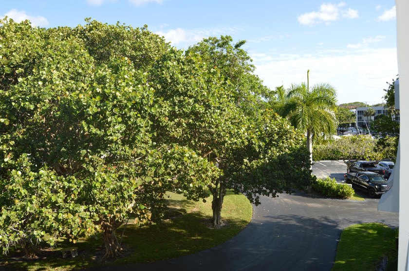 Introducing Unit 303 at French Village Condominiums, a charming - photo 27