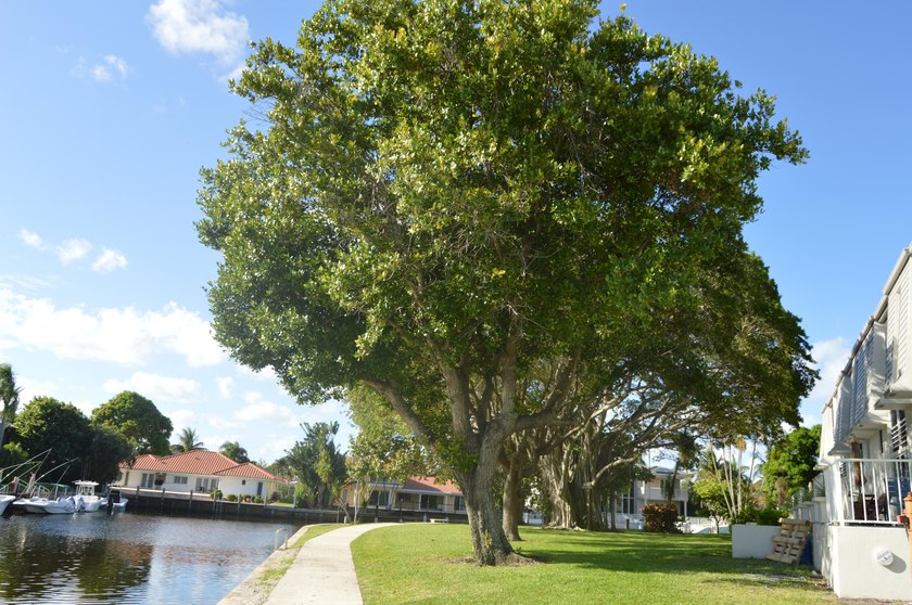Introducing Unit 303 at French Village Condominiums, a charming - photo 30