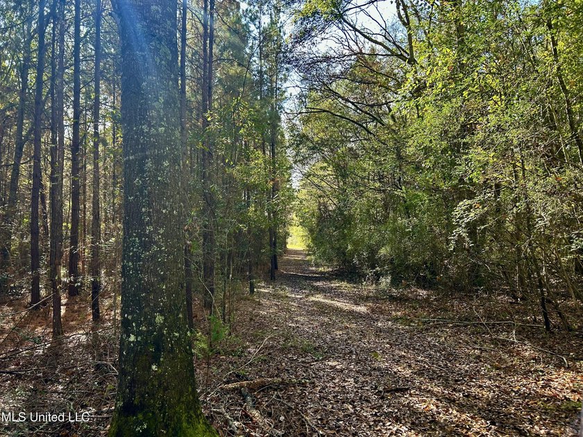 Discover 39.7+- surveyed acres in Brookhaven, Mississippi - photo 2