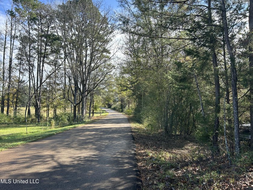 Discover 39.7+- surveyed acres in Brookhaven, Mississippi - photo 3
