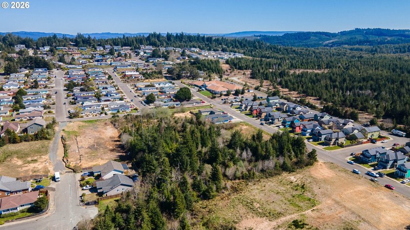 Take advantage of this rare opportunity to own a 0.09-acre - photo 11