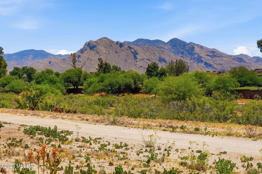 Nestled within the coveted Casas Del Oro Norte community at - photo 38