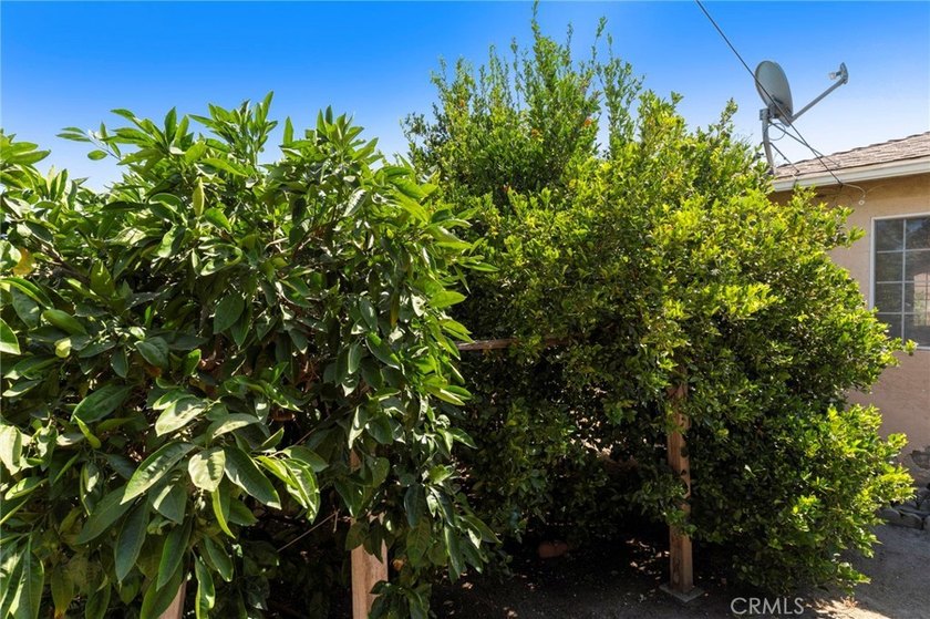 This charming 2-bedroom, 1-bathroom home offers an excellent - photo 23
