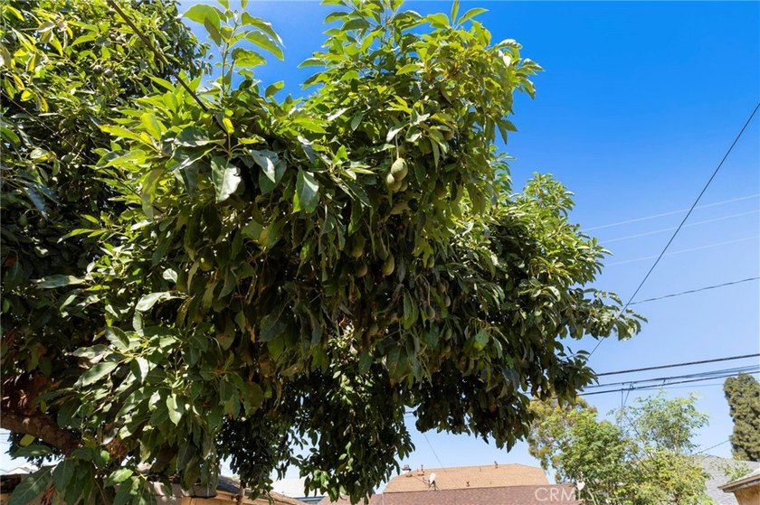 This charming 2-bedroom, 1-bathroom home offers an excellent - photo 25