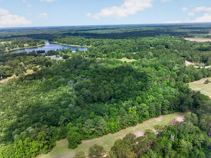 This expansive 3.9-acre parcel in Dogwood Lakes Estates, a - photo 3