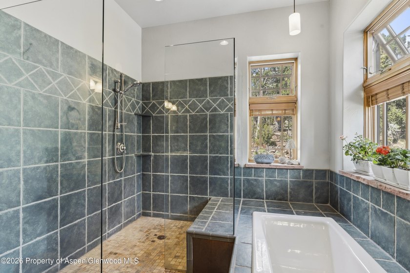 Roaring Fork Valley Retreat | Flexible Living Options | - photo 36