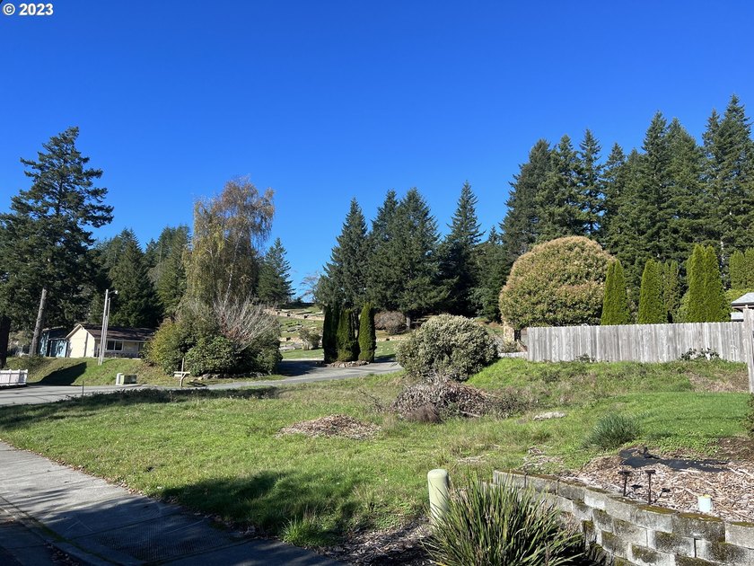 Owner May Carry! &amp; Ready to be built on. Site built - photo 2