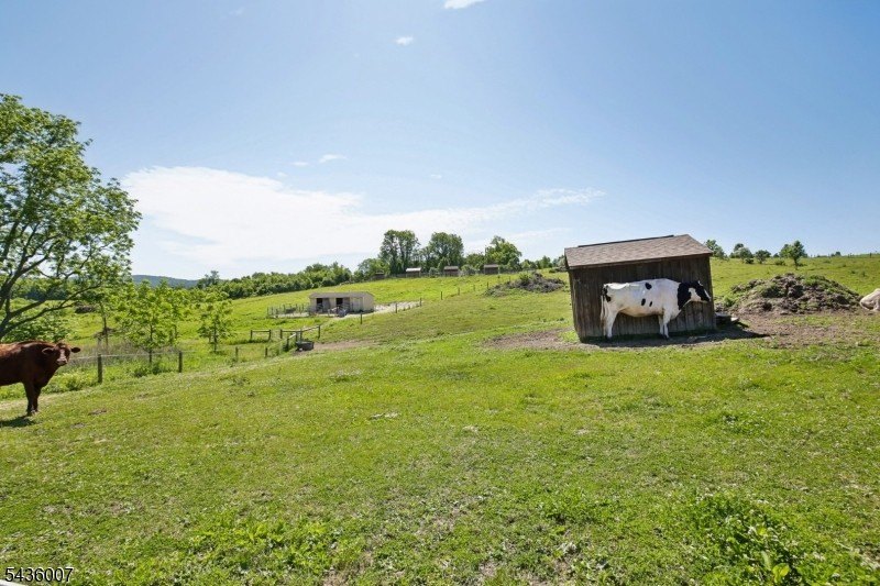 Welcome to one of Western New Jersey's most exceptional land - photo 10