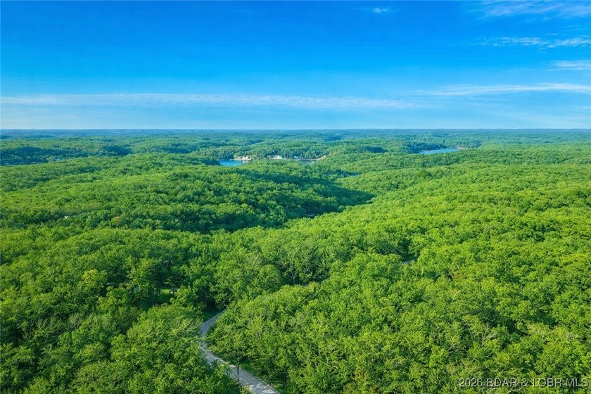 Nearly 50 acres of stunning Ozark beauty-this is your - photo 13