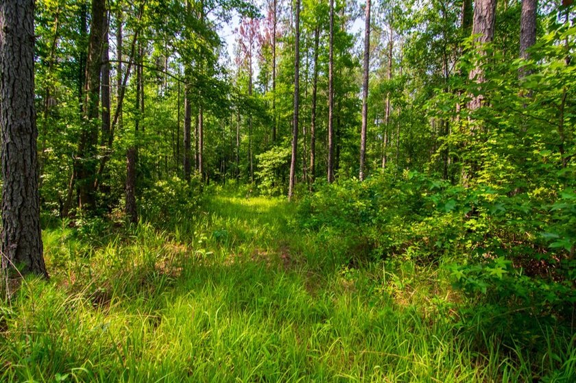 Waverly Hall in Talbot county discover 16 wooded acres with - photo 5