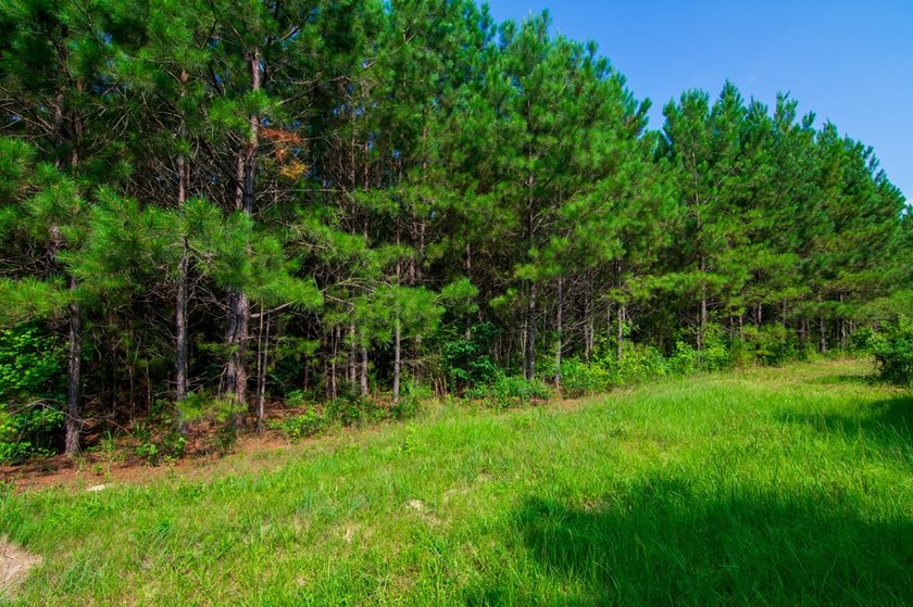 Waverly Hall in Talbot county discover 16 wooded acres with - photo 8