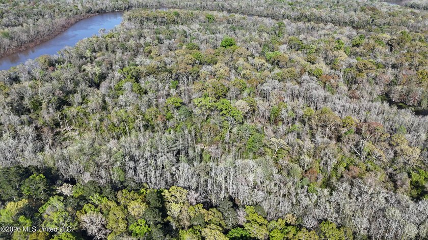 5-acre waterfront property located in the desirable River Bluffs - photo 11
