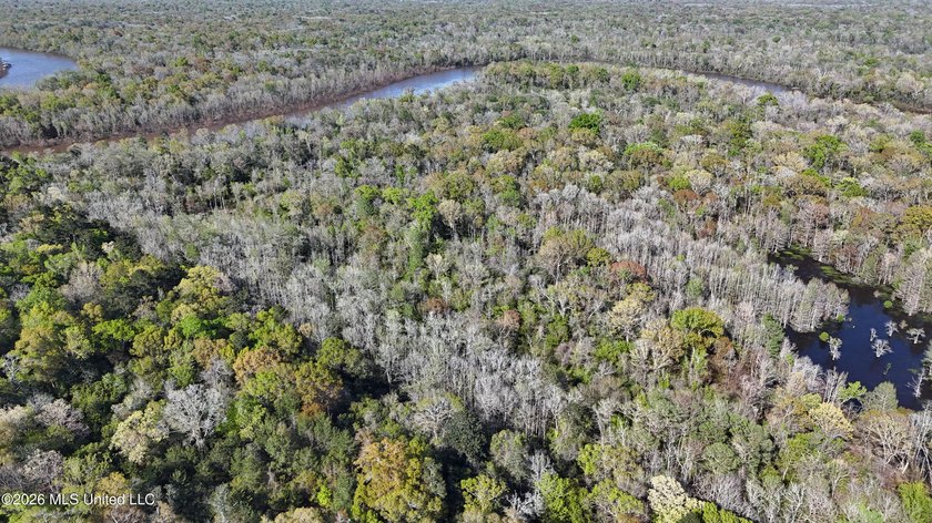 5-acre waterfront property located in the desirable River Bluffs - photo 12