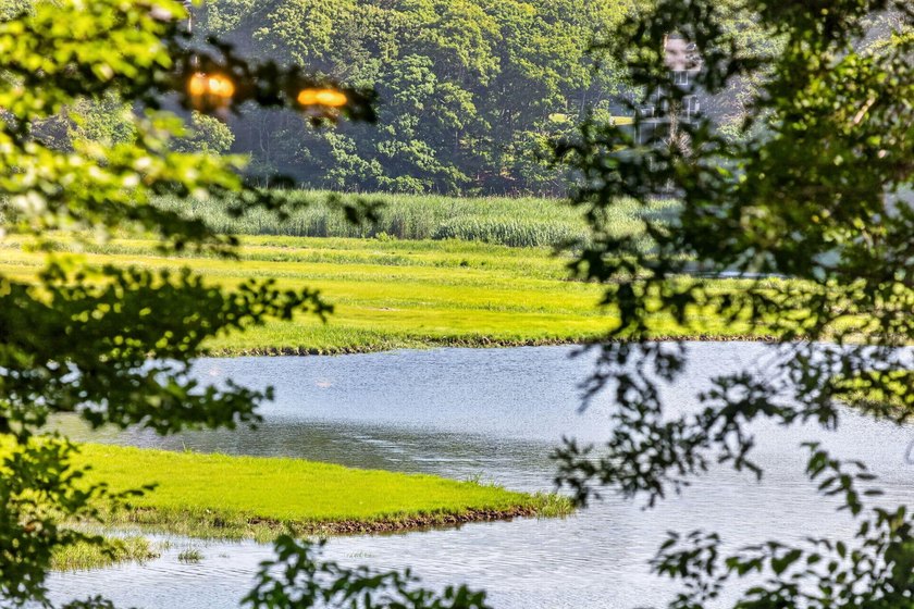 Attention artists, nature lovers, and water enthusiasts, your - photo 50
