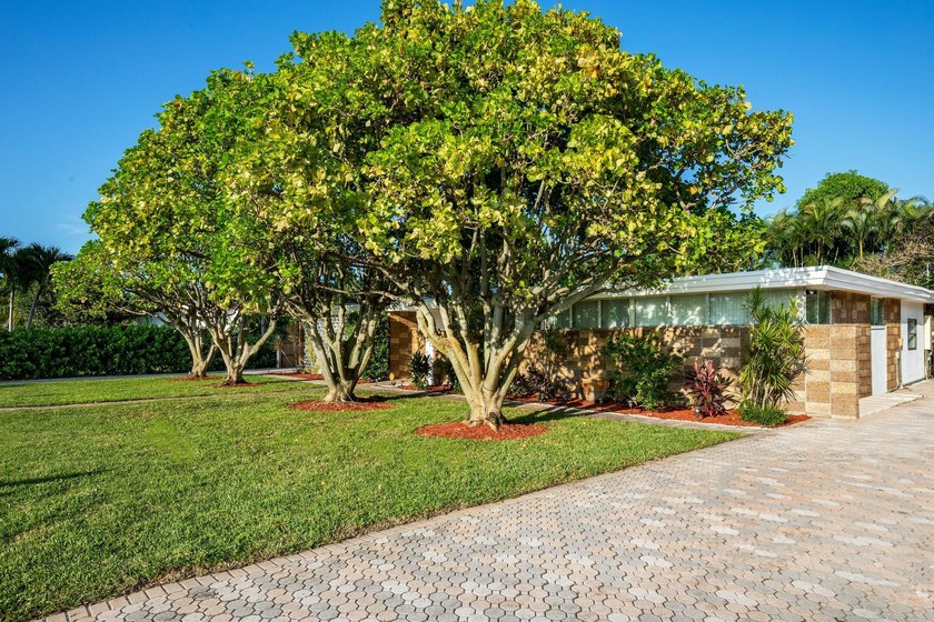 Income Producing Property. This stunning 6-bedroom, 3-bathroom - photo 3