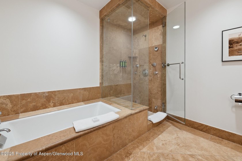 Enjoy prime summer time in Aspen. 2024 renovations completed - photo 24
