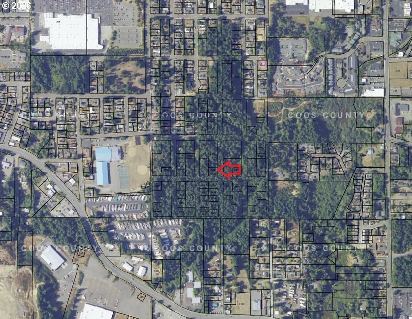 FORESTED .115 ACRE east of Boys &amp; Girls Club, south of 26th St - photo 2