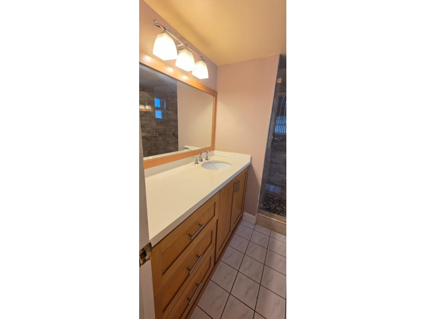 Beautifully updated 2 bedroom 2 bath corner unit In the - photo 43