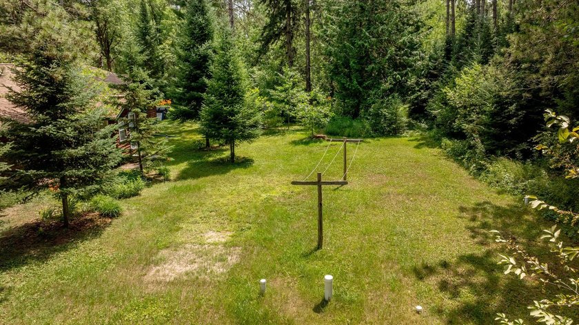 Towering mature pine trees on 5 private acres, this beautiful - photo 41