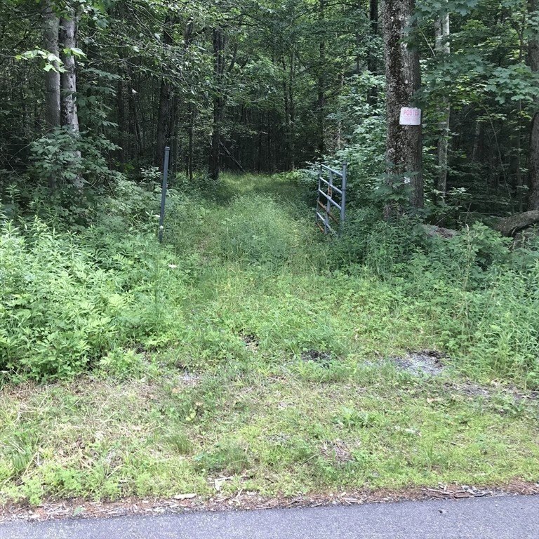 Exceptional 9.26-Acre Wooded Retreat - Lot 13, Algerie Road - photo 12