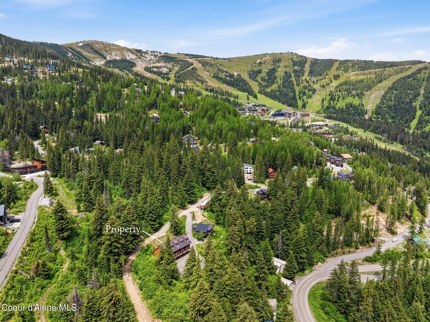 Welcome to The Elkhorn Lodge at Schweitzer Mountain Resort. Move - photo 25