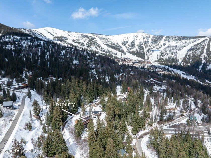 Welcome to The Elkhorn Lodge at Schweitzer Mountain Resort. Move - photo 26