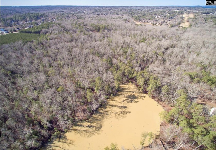 +/- 30.99 acres in the highly desirable Lexington One School - photo 4