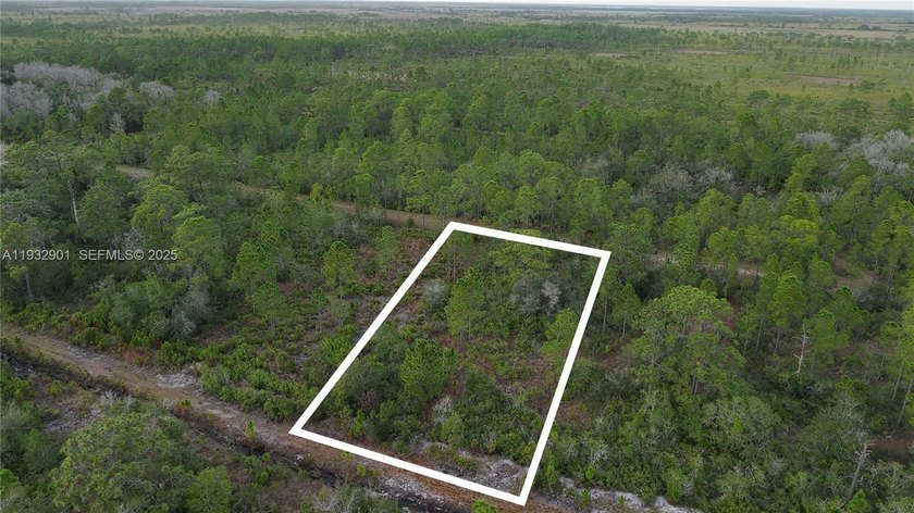 Build your dream home on this spacious 0.50-acre vacant lot - photo 3