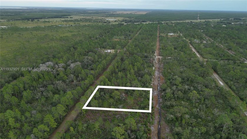 Build your dream home on this spacious 0.50-acre vacant lot - photo 8