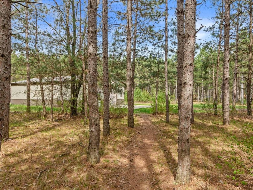 Log home on a wooded acreage in Saratoga! Majestic pines - photo 35