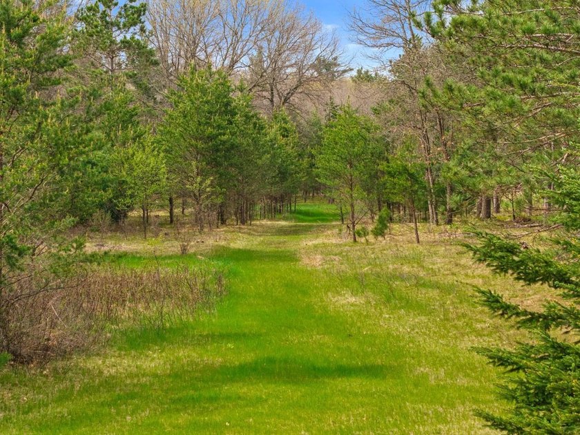 Log home on a wooded acreage in Saratoga! Majestic pines - photo 45