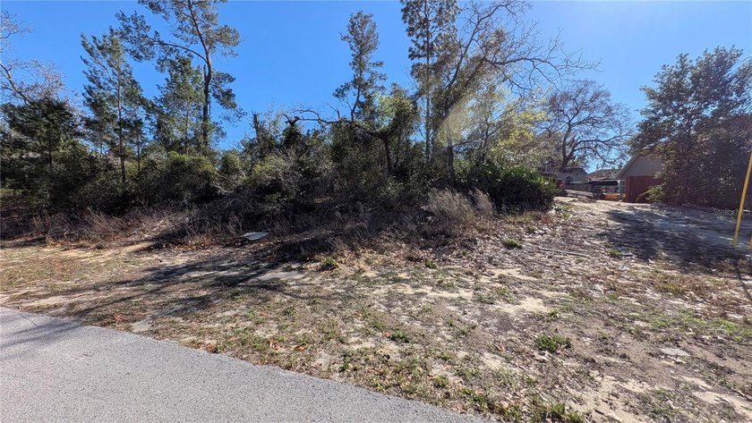 Under contract-accepting backup offers. Build your dream home in - photo 11