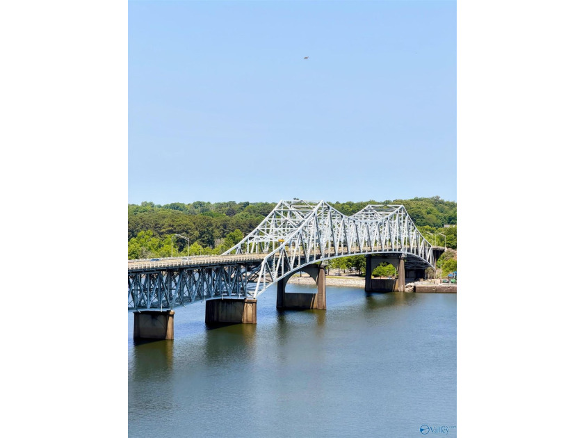 Elegantly appointed condo with breathtaking views of Pickwick - photo 47
