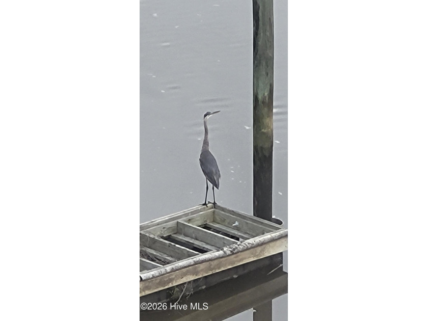 Turn-key 2BR/2BA end unit condo with stunning Intracoastal - photo 46