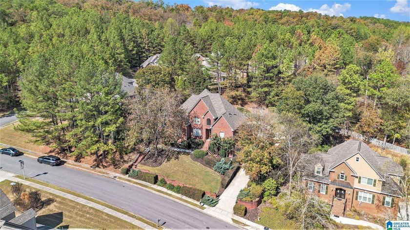 Located on a beautifully elevated lot in desirable Scout Trace - photo 44