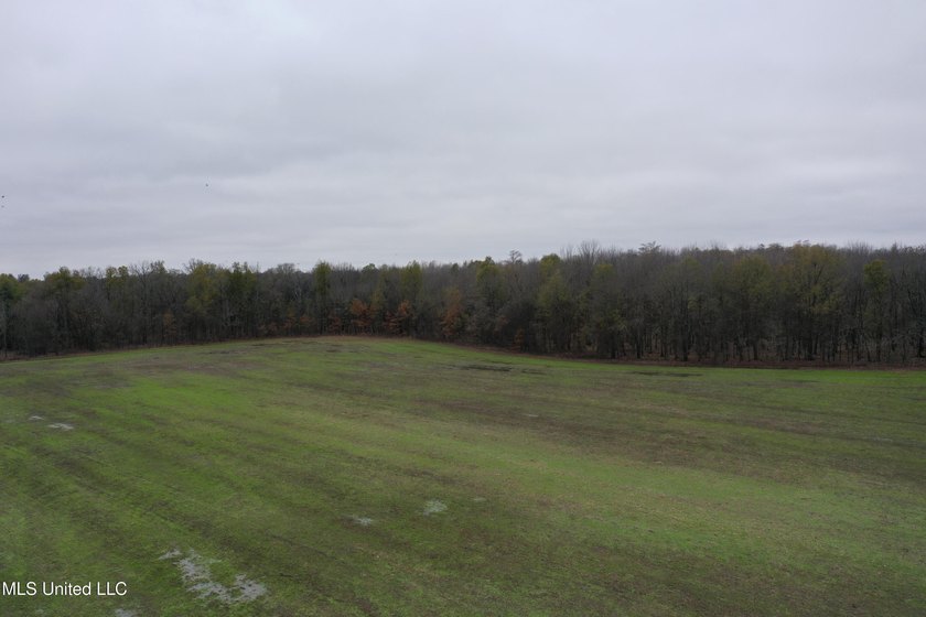 230+/- acres with 158 acres in farm cultivation receiving an - photo 2