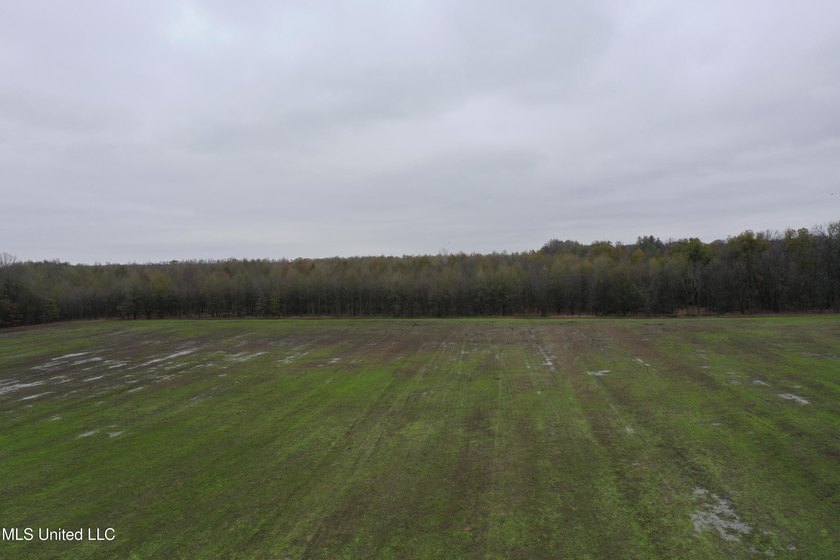 230+/- acres with 158 acres in farm cultivation receiving an - photo 3
