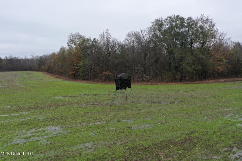 230+/- acres with 158 acres in farm cultivation receiving an - photo 4
