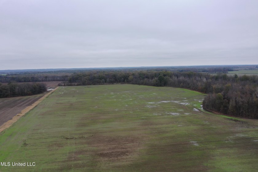 230+/- acres with 158 acres in farm cultivation receiving an - photo 7